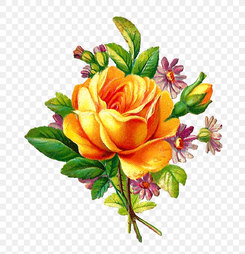 Flower Rose Yellow Antique Clip Art, PNG, 764x848px, Flower, Antique, Cut Flowers, Floral Design, Floristry Download Free