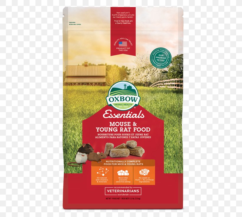 OXBOW Animal Health Essentials Mouse/Young Rat Block Food OXBOW Animal Health Essentials Mouse/Young Rat Block Food False Oxbow Bunny Basics Adult Rabbit Food 4.5kg, PNG, 500x736px, Rat, Brand, Eating, Food, Mouse Download Free