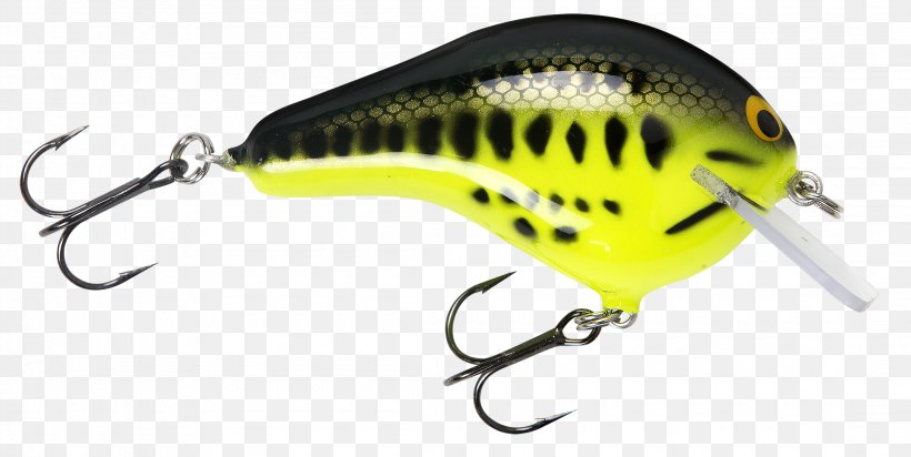 Bassmaster Classic Bass Fishing Fishing Baits & Lures, PNG, 2200x1108px, Bassmaster Classic, Baby Bass, Bait, Bass, Bass Fishing Download Free