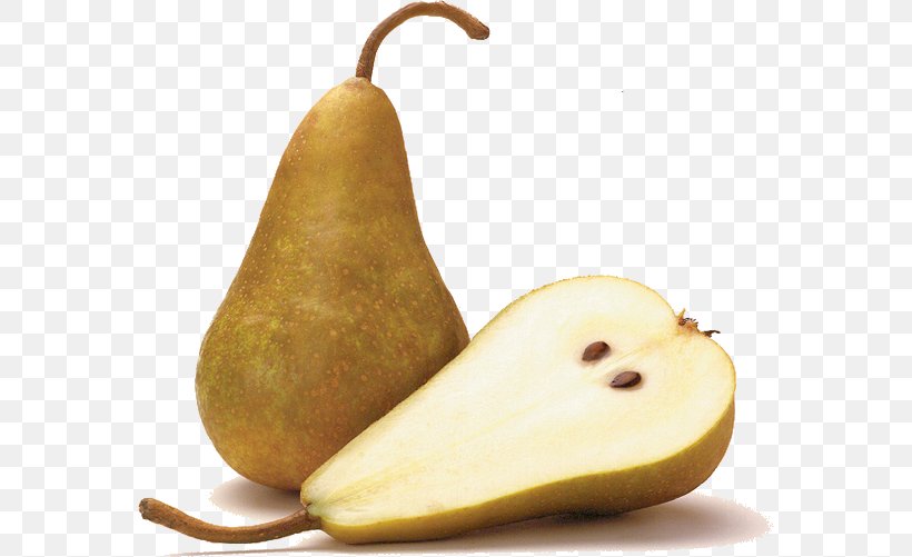 Bosc Pear Asian Pear D'Anjou Fruit Shipova, PNG, 572x501px, Bosc Pear, Apple, Asian Pear, Cultivar, European Pear Download Free