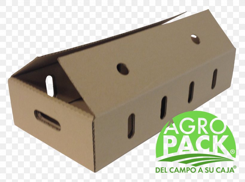 Box Packaging And Labeling Cardboard Guava Material, PNG, 1929x1434px, Box, Agriculture, Cardboard, Factory, Guava Download Free