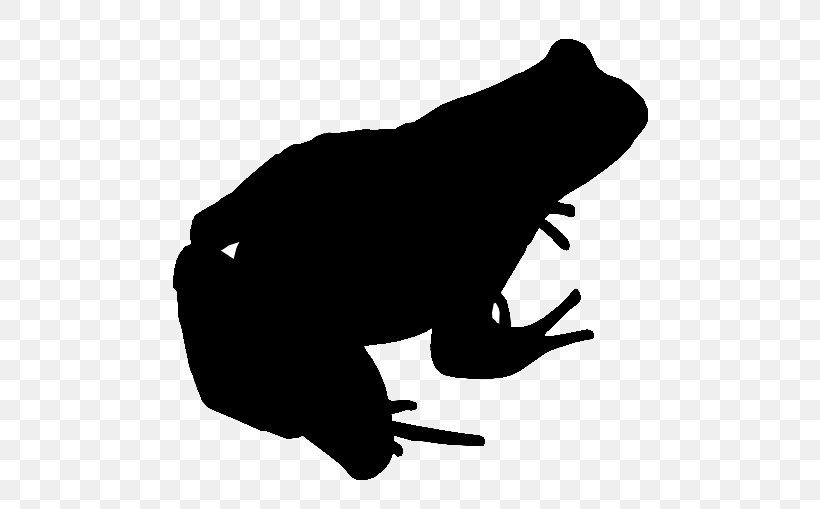Frog Amphibians Toad Katak Dan Kodok, PNG, 532x509px, Frog, Amphibian, Amphibians, Animal, Art Download Free