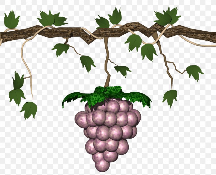 Grape-Nuts Animation Clip Art, PNG, 1664x1347px, Grapenuts, Animation, Branch, Cartoon, Flowering Plant Download Free