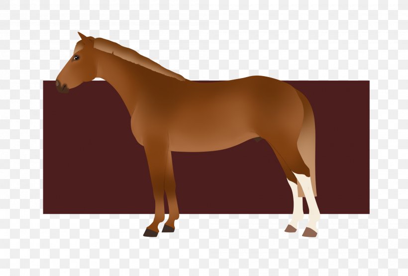 Mane Mustang Stallion Mare Halter, PNG, 2000x1354px, Mane, Bridle, Colt, Grass, Halter Download Free