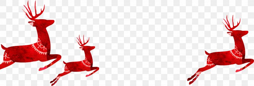 Santa Claus's Reindeer Santa Claus's Reindeer Christmas, PNG, 2948x1006px, Reindeer, Antler, Christmas, Deer, Drawing Download Free