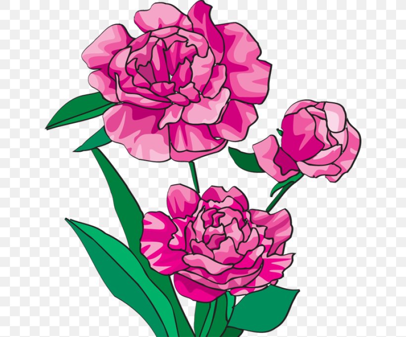 Arranging Cut Flowers Caribbean Flowers Peony Clip Art, PNG, 640x682px, Arranging Cut Flowers, Caribbean Flowers, Creative Market, Cut Flowers, Floral Design Download Free