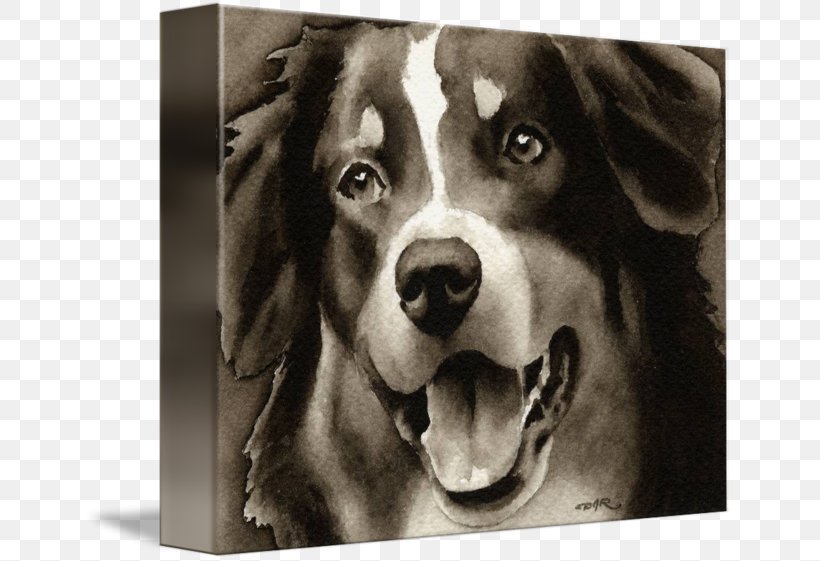 Australian Shepherd Watercolor Painting Art Drawing, PNG, 650x561px, Australian Shepherd, Art, Art Museum, Artist, Black And White Download Free