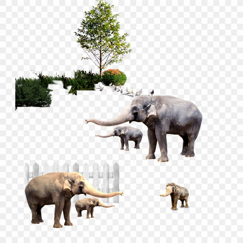 Indian Elephant African Elephant Zebra, PNG, 5906x5906px, Indian Elephant, African Elephant, Animal, Animal Material, Elephant Download Free