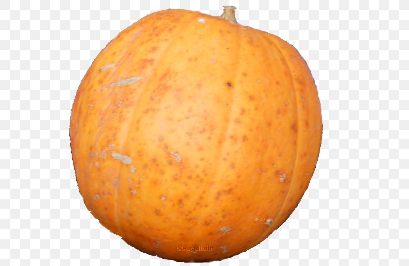 Pumpkin Calabaza Winter Squash Gourd Cucumis, PNG, 576x534px, Pumpkin, Calabaza, Commodity, Cucumber Gourd And Melon Family, Cucumis Download Free