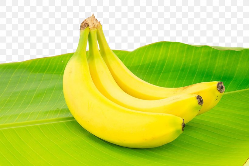 Banana Leaf Food Cooking Banana, PNG, 1024x683px, Banana, Banana Family, Banana Leaf, Banana Peel, Butterscotch Download Free