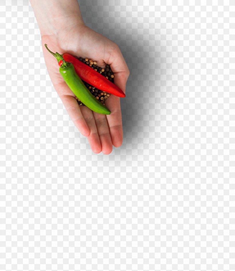 Chili Pepper Spicentice Nail Family, PNG, 861x992px, Chili Pepper, Bell Pepper, Bell Peppers And Chili Peppers, Case Study, Closeup Download Free