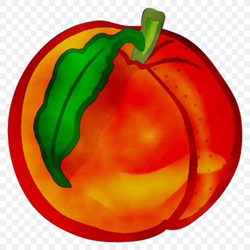 Chili Pepper Winter Squash Bell Pepper Tomato Pumpkin, PNG, 1016x1016px, Chili Pepper, Bell Pepper, Bell Peppers And Chili Peppers, Calabaza, Capsicum Download Free