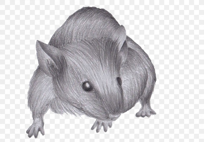 Drawing How To Draw A Mouse Rat, PNG, 1218x852px, Drawing, Animation, Art, Black And White, Fauna Download Free