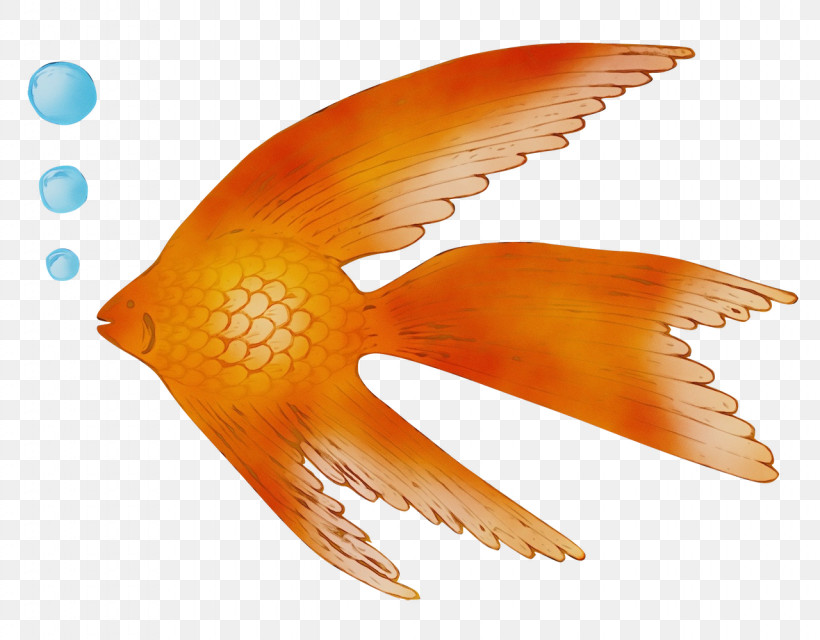Fish Orange S.a. Wing Riba, PNG, 1280x1000px, Watercolor, Biology, Finland, Finnish Language, Finns Download Free