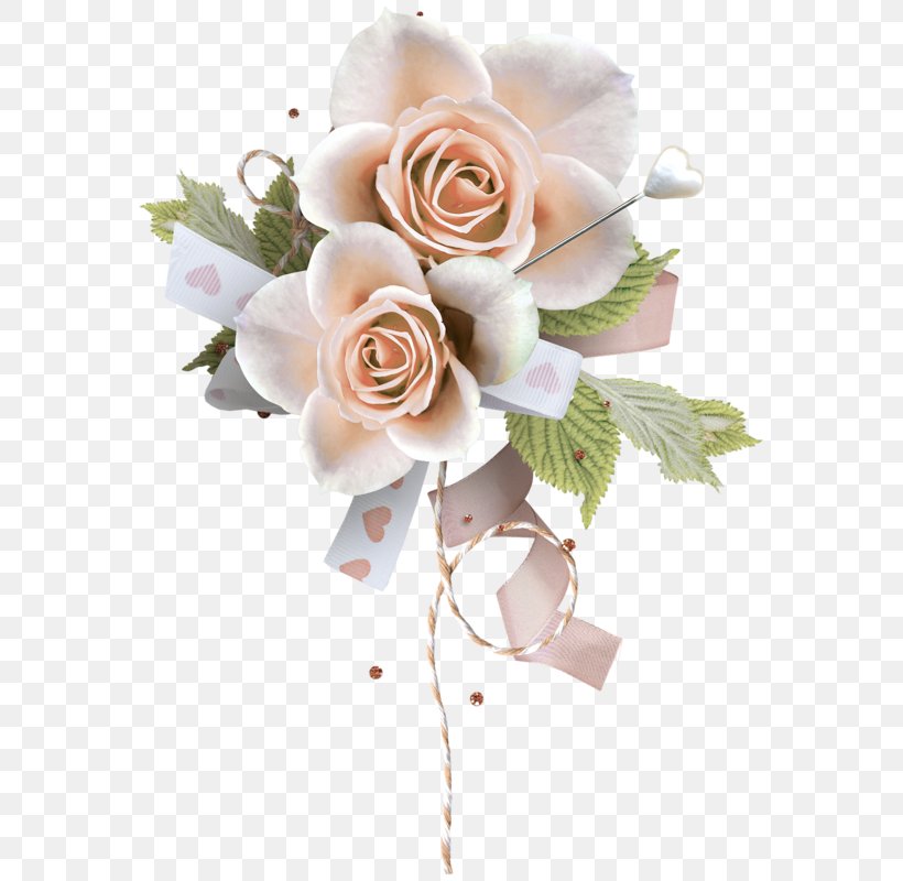Garden Roses Flower Bouquet Cut Flowers Floral Design, PNG, 579x800px, Garden Roses, Amino Apps, Artificial Flower, Centifolia Roses, Cut Flowers Download Free