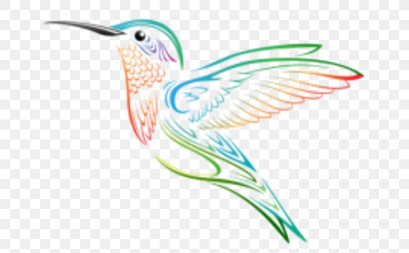 Hummingbird Clip Art, PNG, 700x508px, Hummingbird, Animation, Beak, Bird, Cartoon Download Free