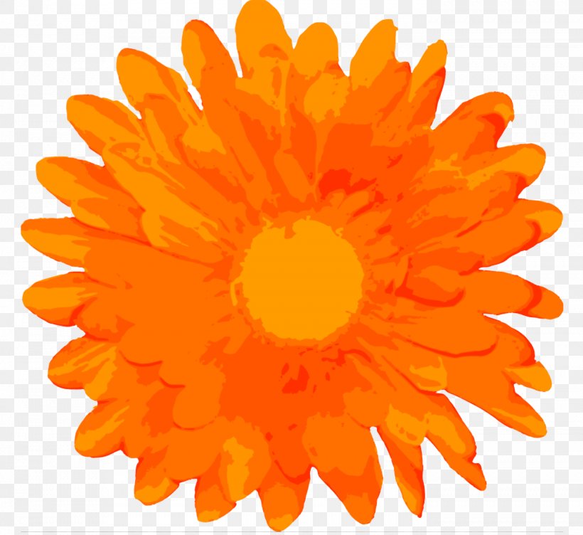 Marigold Flower, PNG, 1394x1280px, Flower, English Marigold, Gerbera, Orange, Petal Download Free