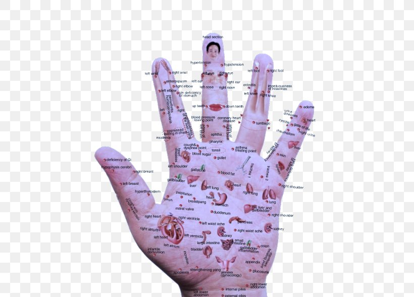 Acupressure Reflexology Akupunktiopiste Hand Acupuncture, PNG, 500x588px, Acupressure, Acupuncture, Akupunktiopiste, Disease, Finger Download Free