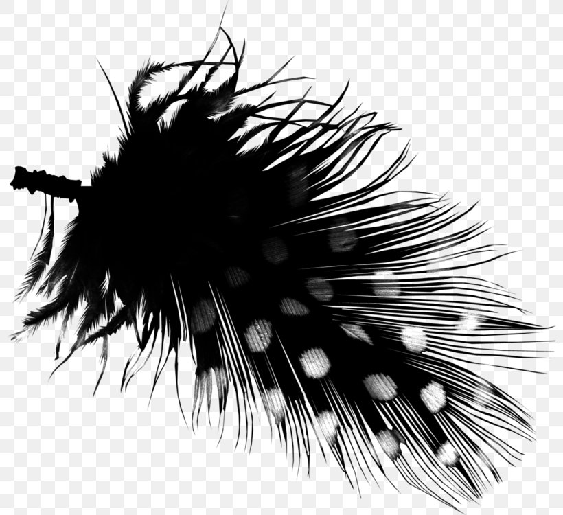 Clip Art Image Download Feather, PNG, 800x750px, Feather, Black, Black And White, Cartoon, Color Download Free