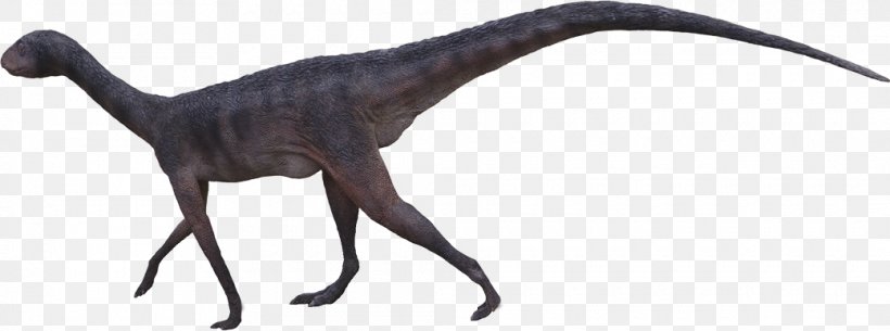 Velociraptor Animal, PNG, 1040x388px, Velociraptor, Animal, Animal Figure, Dinosaur, Terrestrial Animal Download Free