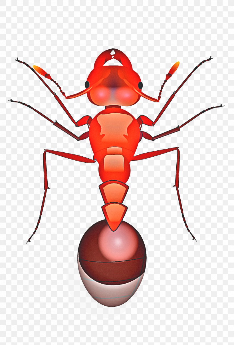Fire Drawing, PNG, 2000x2950px, Red Imported Fire Ant, Ant, Bullet Ant, Drawing, Fire Ant Download Free