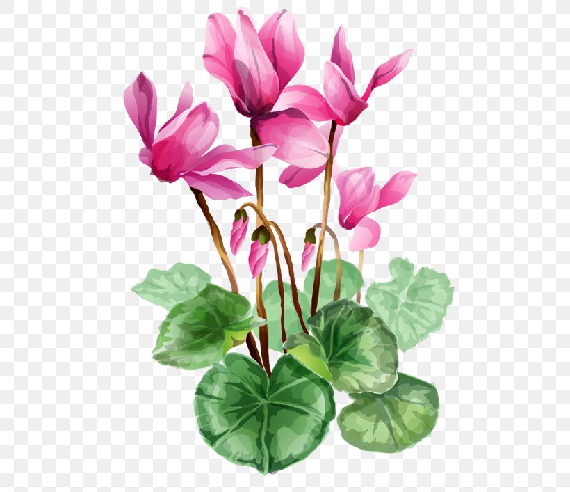 Flower Bouquet Free Content Clip Art, PNG, 525x707px, Flower, Blue, Cut Flowers, Cyclamen, Drawing Download Free