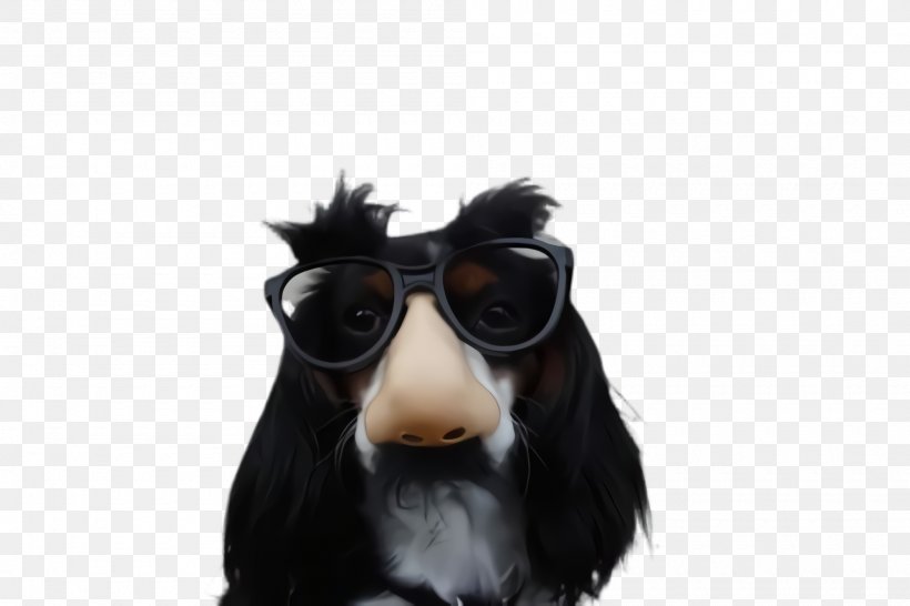 Glasses, PNG, 2000x1332px, Dog, Bernese Mountain Dog, Companion Dog, Dog Breed, Eyewear Download Free