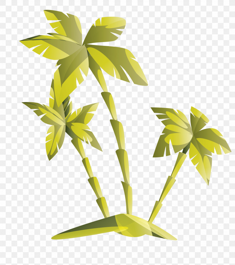 Palm Tree, PNG, 2657x3000px, Leaf, Flower, Houseplant, Palm Tree, Plant Download Free