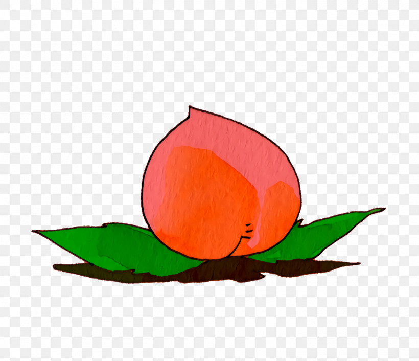 Petal Leaf Orange S.a. Flower, PNG, 1400x1206px, Cartoon Fruit, Biology, Flower, Kawaii Fruit, Leaf Download Free