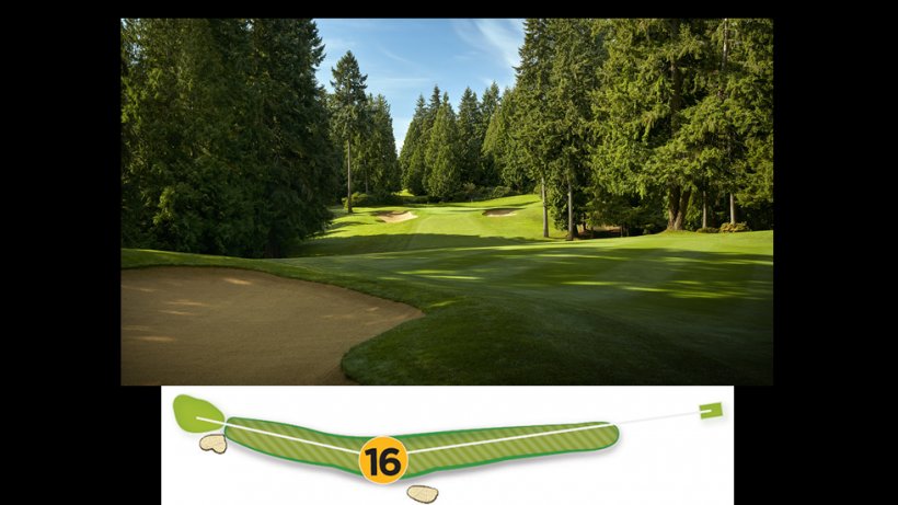 Golf Clubs Golf Course Tree Lawn, PNG, 980x551px, Golf, Golf Club, Golf Clubs, Golf Course, Golf Equipment Download Free