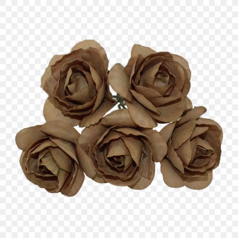 Garden Roses Cut Flowers Rosaceae, PNG, 1000x1000px, Rose, Cut Flowers, Family, Flower, Garden Download Free