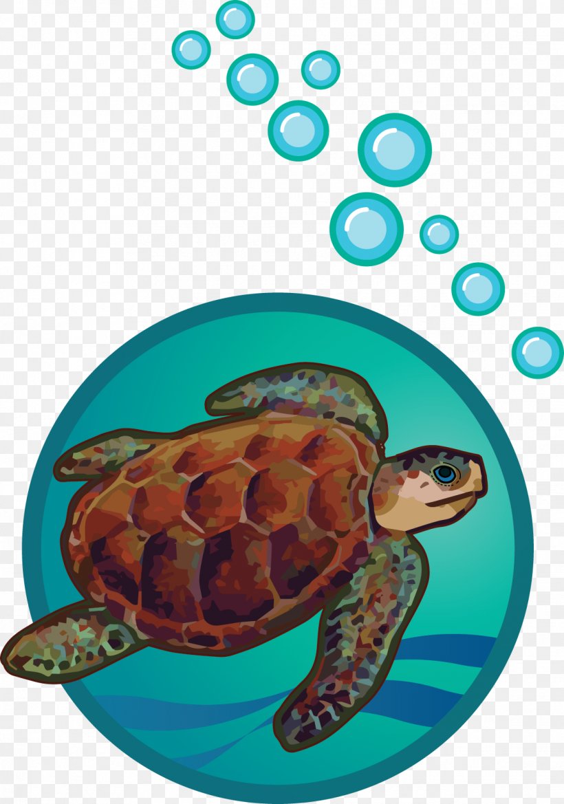 Loggerhead Sea Turtle Tortoise Pond Turtles, PNG, 1137x1622px, Loggerhead Sea Turtle, Biology, Drainage Basin, Emydidae, Fish Download Free