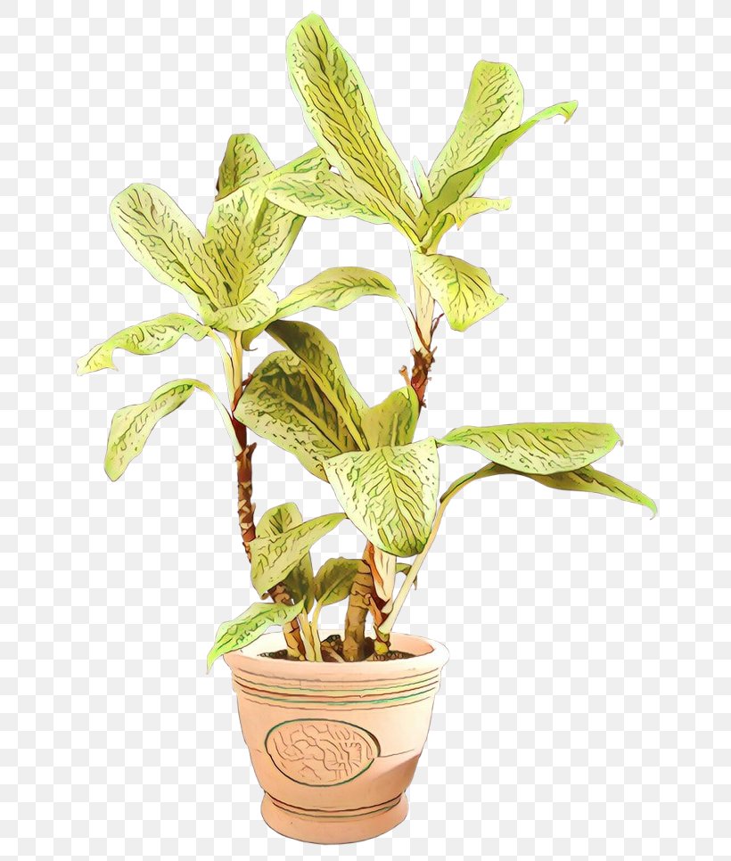 Houseplant Flowerpot Plant Stem Tree Herb, PNG, 700x966px, Houseplant, Arecales, Flower, Flowering Plant, Flowerpot Download Free
