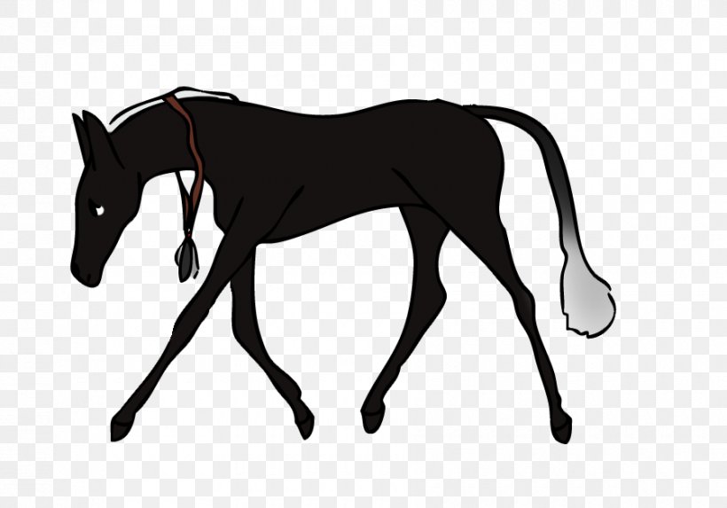 Mule Foal Stallion Halter Colt, PNG, 900x629px, Mule, Black, Black And White, Bridle, Colt Download Free
