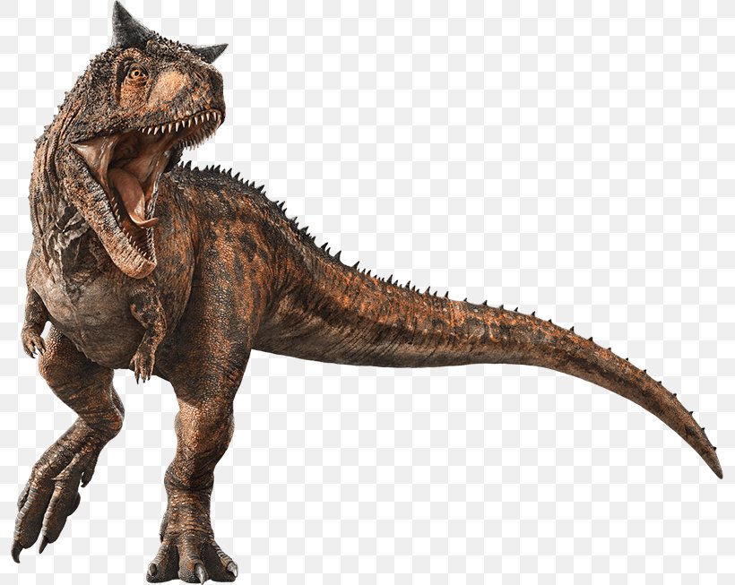 Velociraptor Tyrannosaurus Carnotaurus Jurassic World Evolution Stygimoloch, PNG, 795x653px, Velociraptor, Baryonyx, Carnotaurus, Dinosaur, Extinction Download Free