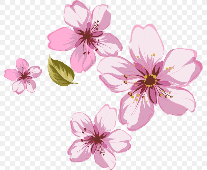 Download Pink 3D Computer Graphics Clip Art, PNG, 788x675px, 3d Computer Graphics, Pink, Blossom, Cherry Blossom, Computer Graphics Download Free