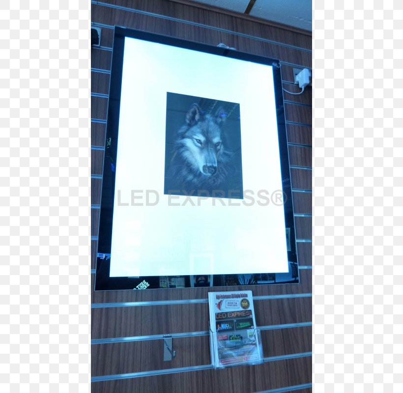 Flat Panel Display Picture Frames Light-emitting Diode LED Display, PNG, 800x800px, Flat Panel Display, Advertising, Blue, Daylighting, Display Advertising Download Free