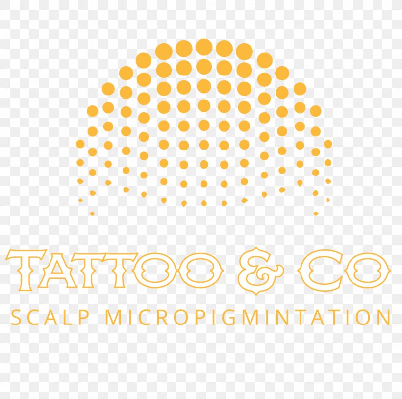 Hair Tattoo Hair Loss Scalp Aesthetics Permanent Makeup Png