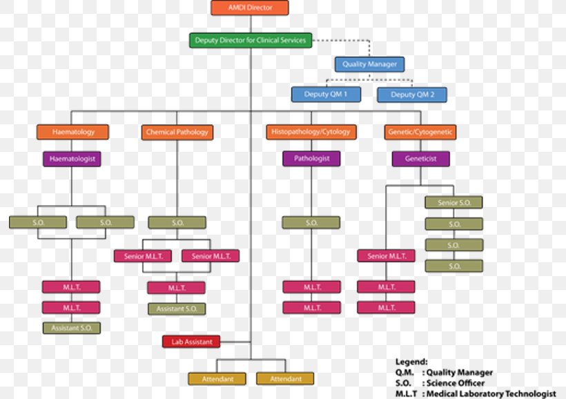 Organizational Chart Organizational Structure Non-profit Organisation Health Care, PNG, 793x578px, Organizational Chart, Board Of Directors, Brand, Business, Chart Download Free