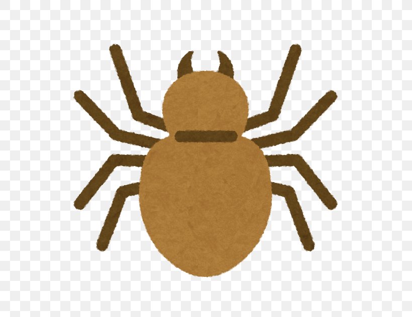 Spider Insecticide Pest Termite, PNG, 632x632px, Spider, Arthropod, Black Desert Online, Blattodea, Game Download Free