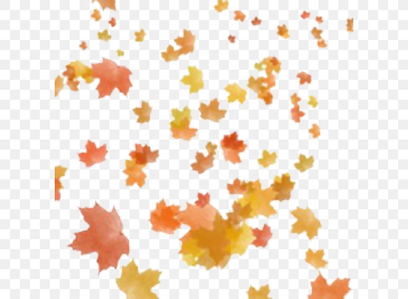 Clip Art Autumn Leaf Color Autumn Leaf Color, PNG, 600x600px, Autumn, Autumn Leaf Color, Green, Leaf, Maple Leaf Download Free