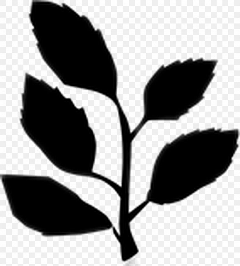 Leaf Flowering Plant Plant Stem Plants, PNG, 1024x1132px, Leaf, Blackandwhite, Botany, Flower, Flowering Plant Download Free