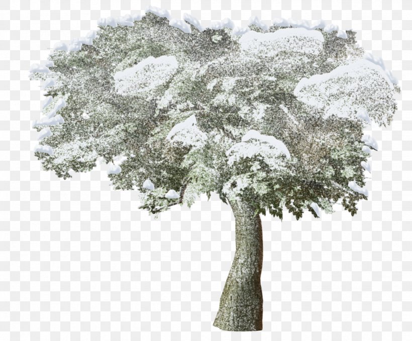 Clip Art Winter Snow Adobe Photoshop, PNG, 1024x848px, Winter, Branch, Day, Daytime, Houseplant Download Free