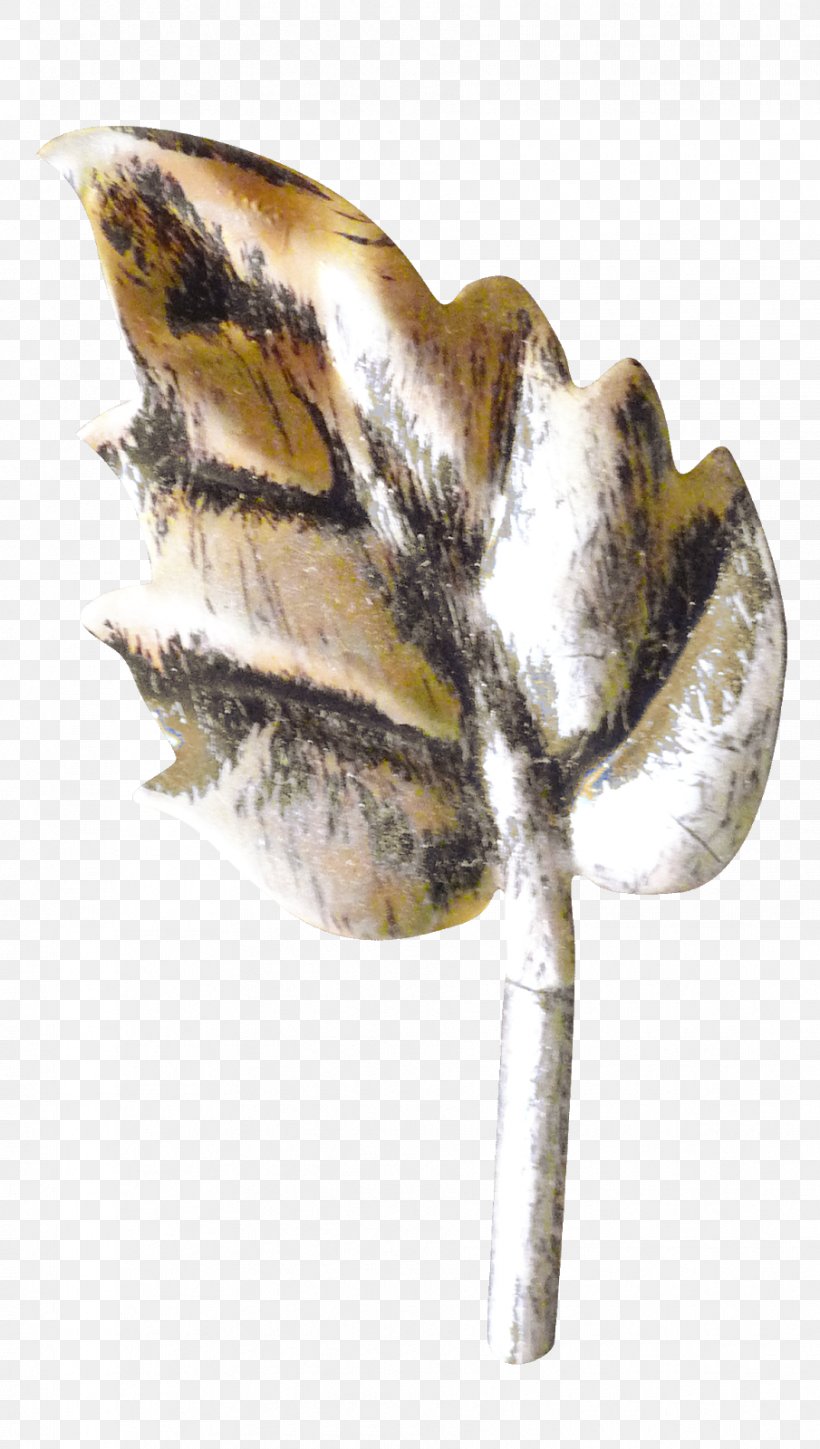 Leaf Plant Stem Trunk Plants Tree, PNG, 905x1600px, Leaf, Art, Feather, Flower, Google Download Free