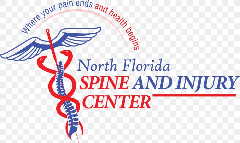 North Florida Spine And Injury Center Orange Park Vertebral Column Whiplash, PNG, 1500x895px, Orange Park, Accident, Ache, Area, Back Pain Download Free