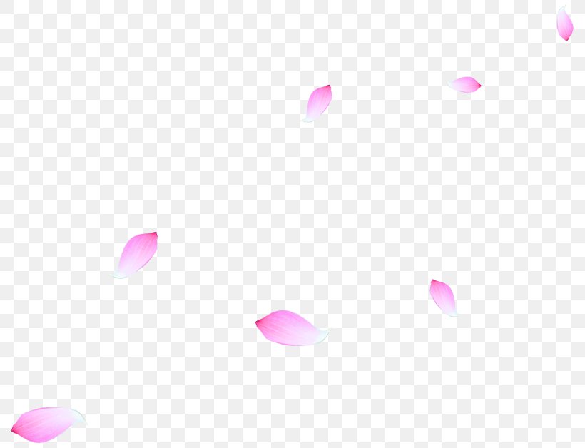 Petal Flower Download, PNG, 803x628px, Petal, Beauty, Flower, Heart, Internet Download Free