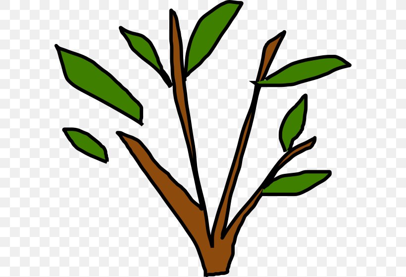 Clip Art Plant Stem Leaf Flower Line, PNG, 600x561px, Plant Stem, Botany, Flower, Leaf, Plant Download Free