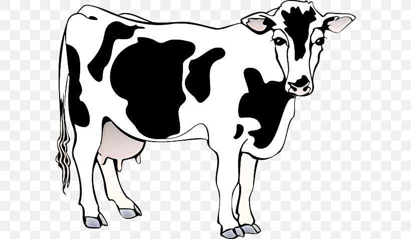 Dairy Cattle Murrah Buffalo Dairy Dairy Farming Milk, PNG, 600x476px, Dairy Cattle, Breed, Computer, Dairy, Dairy Farming Download Free