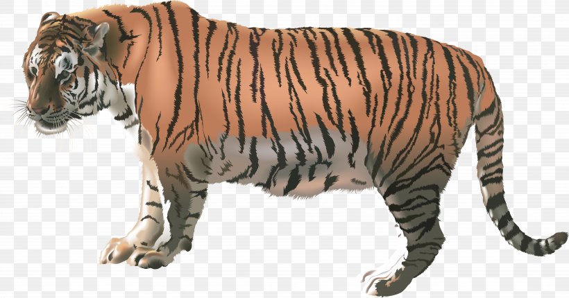 Felidae Bengal Tiger, PNG, 6761x3548px, Felidae, Animal Figure, Bengal Tiger, Big Cats, Carnivoran Download Free