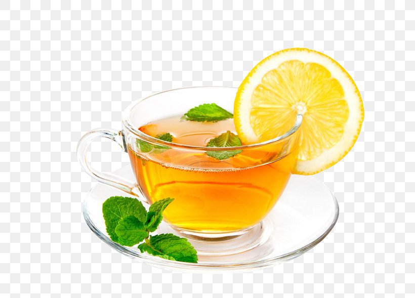 Green Tea Coffee White Tea Ginger Tea, PNG, 658x589px, Tea, Camellia Sinensis, Citrus, Cocktail Garnish, Coffee Download Free